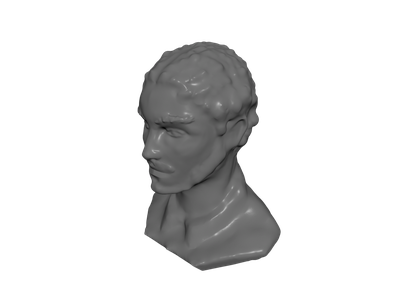 Bust Blender Models for Download