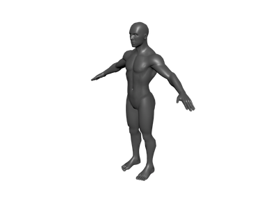 Free Human Base Meshes For Sculpting free 3D model